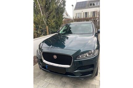 Jaguar F-Pace Gebrauchtwagen