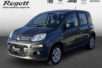 Fiat Panda Gebrauchtwagen