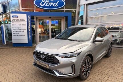 Ford Kuga Gebrauchtwagen