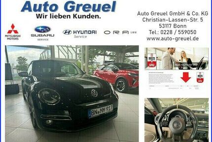 VW Beetle Gebrauchtwagen