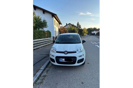 Fiat New Panda Gebrauchtwagen