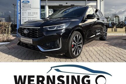Ford Kuga Gebrauchtwagen
