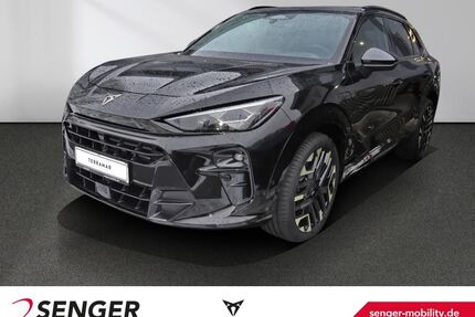 Cupra Terramar Gebrauchtwagen