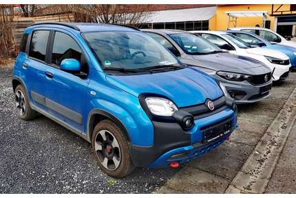 Fiat Panda Gebrauchtwagen