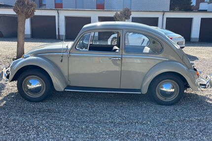 VW Käfer Gebrauchtwagen
