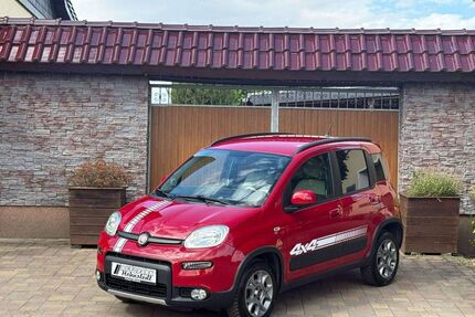 Fiat Panda Gebrauchtwagen