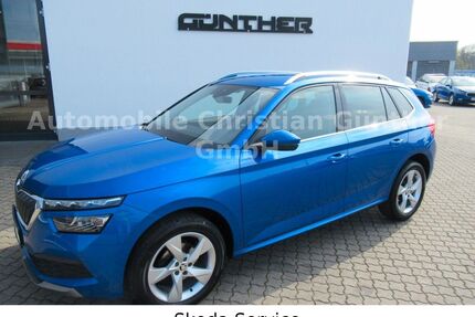 Skoda Kamiq Gebrauchtwagen