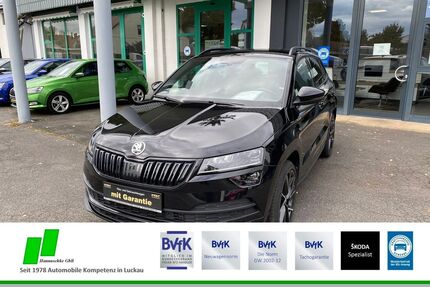 Skoda Karoq Gebrauchtwagen