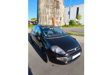 Fiat Punto Evo Gebrauchtwagen