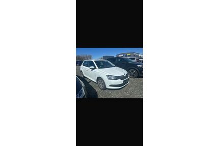 Skoda Fabia Gebrauchtwagen