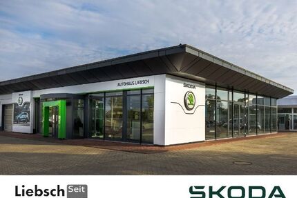 Skoda Kamiq Gebrauchtwagen