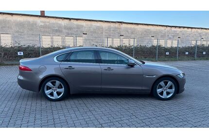 Jaguar XF Gebrauchtwagen