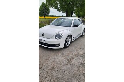 VW Beetle Gebrauchtwagen