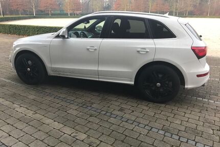 Audi SQ5 Gebrauchtwagen