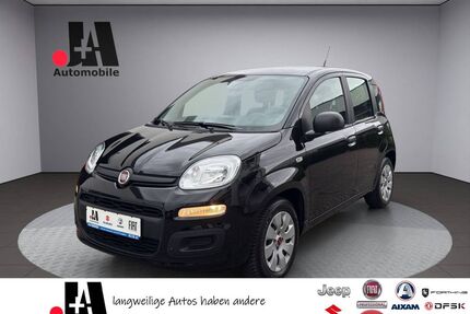 Fiat New Panda Gebrauchtwagen