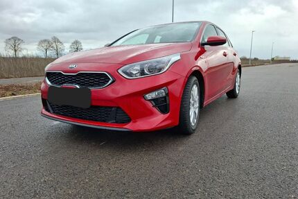Kia ceed / Ceed Gebrauchtwagen