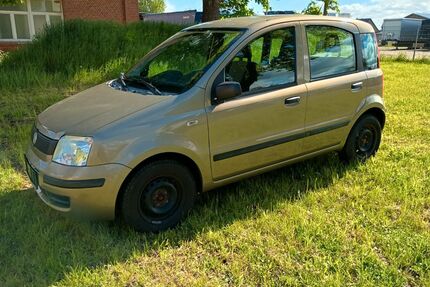 Fiat Panda Gebrauchtwagen