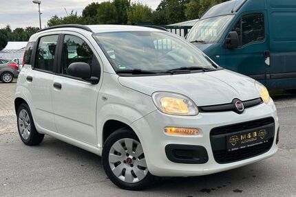 Fiat Panda Gebrauchtwagen