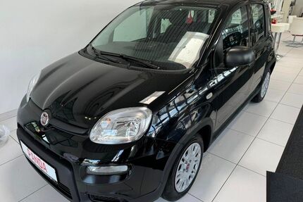 Fiat Panda Gebrauchtwagen