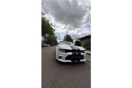 Dodge Charger Gebrauchtwagen
