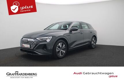 Audi Q8 e-tron Gebrauchtwagen