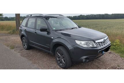 Subaru Forester Gebrauchtwagen