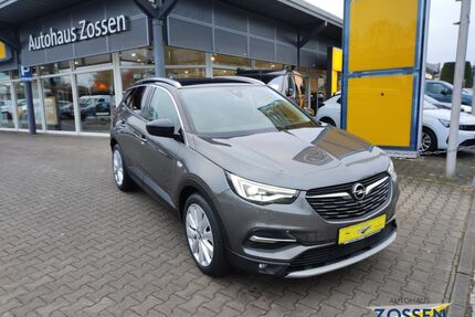 Opel Grandland (X) Gebrauchtwagen