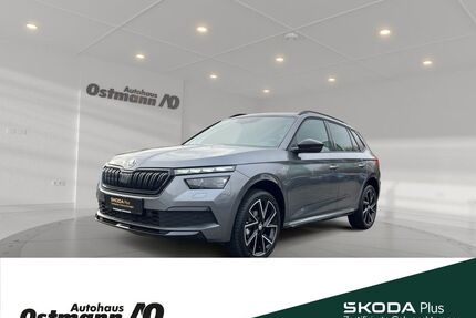 Skoda Kamiq Gebrauchtwagen
