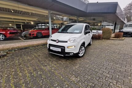 Fiat Panda Gebrauchtwagen