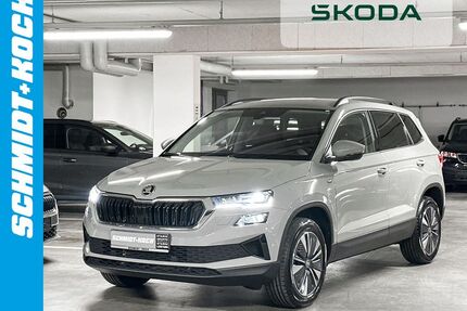 Skoda Karoq Gebrauchtwagen