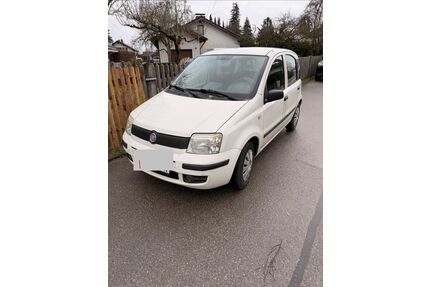 Fiat Panda Gebrauchtwagen