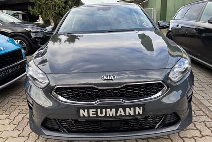 Kia ceed / Ceed Gebrauchtwagen