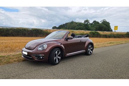 VW Beetle Gebrauchtwagen