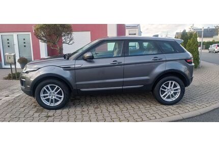 Land Rover Range Rover Evoque Gebrauchtwagen