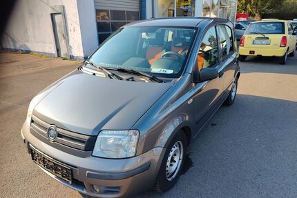 Fiat Panda Gebrauchtwagen