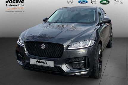Jaguar F-Pace Gebrauchtwagen
