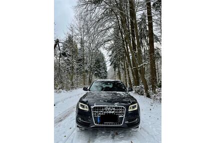 Audi Q5 Gebrauchtwagen