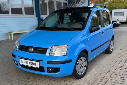 Fiat Panda Gebrauchtwagen