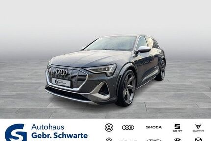 Audi e-tron Gebrauchtwagen