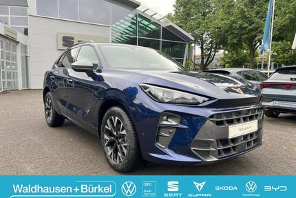 Cupra Terramar Gebrauchtwagen