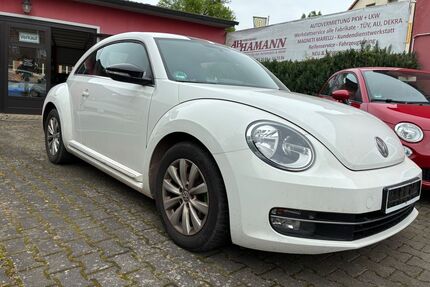 VW Beetle Gebrauchtwagen