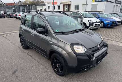 Fiat Panda Gebrauchtwagen