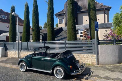 VW Käfer Gebrauchtwagen