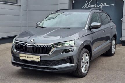Skoda Karoq Gebrauchtwagen