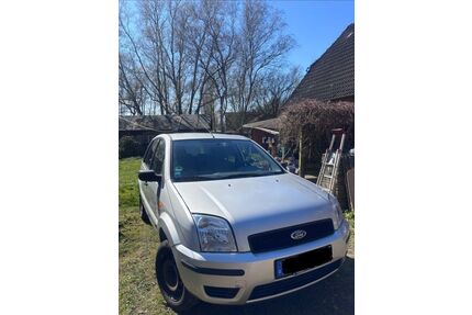 Ford Fusion Gebrauchtwagen