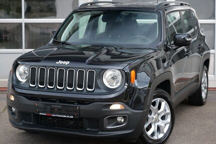 Nissan Renegade 