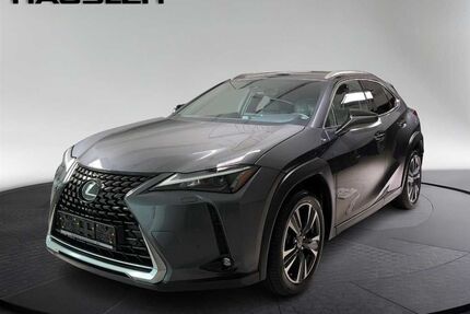 Lexus UX Gebrauchtwagen