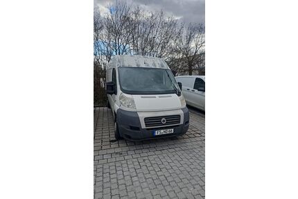 Fiat Ducato Gebrauchtwagen