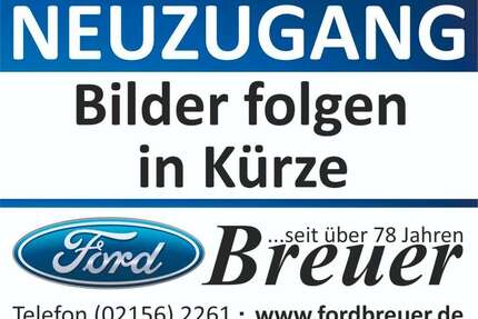 Ford S-Max Gebrauchtwagen