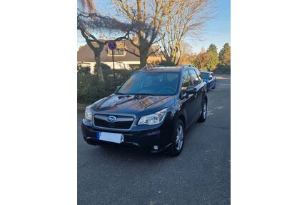 Subaru Forester Gebrauchtwagen